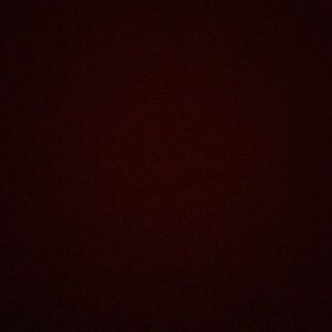 Meet your Posher, Sidney